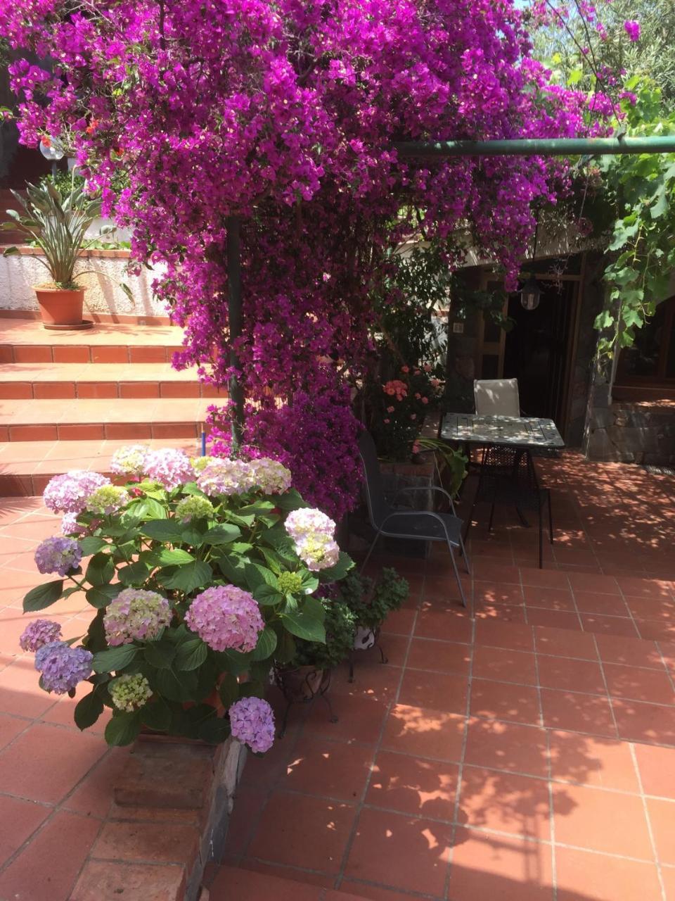L' Arca Residence Cefalù Εξωτερικό φωτογραφία